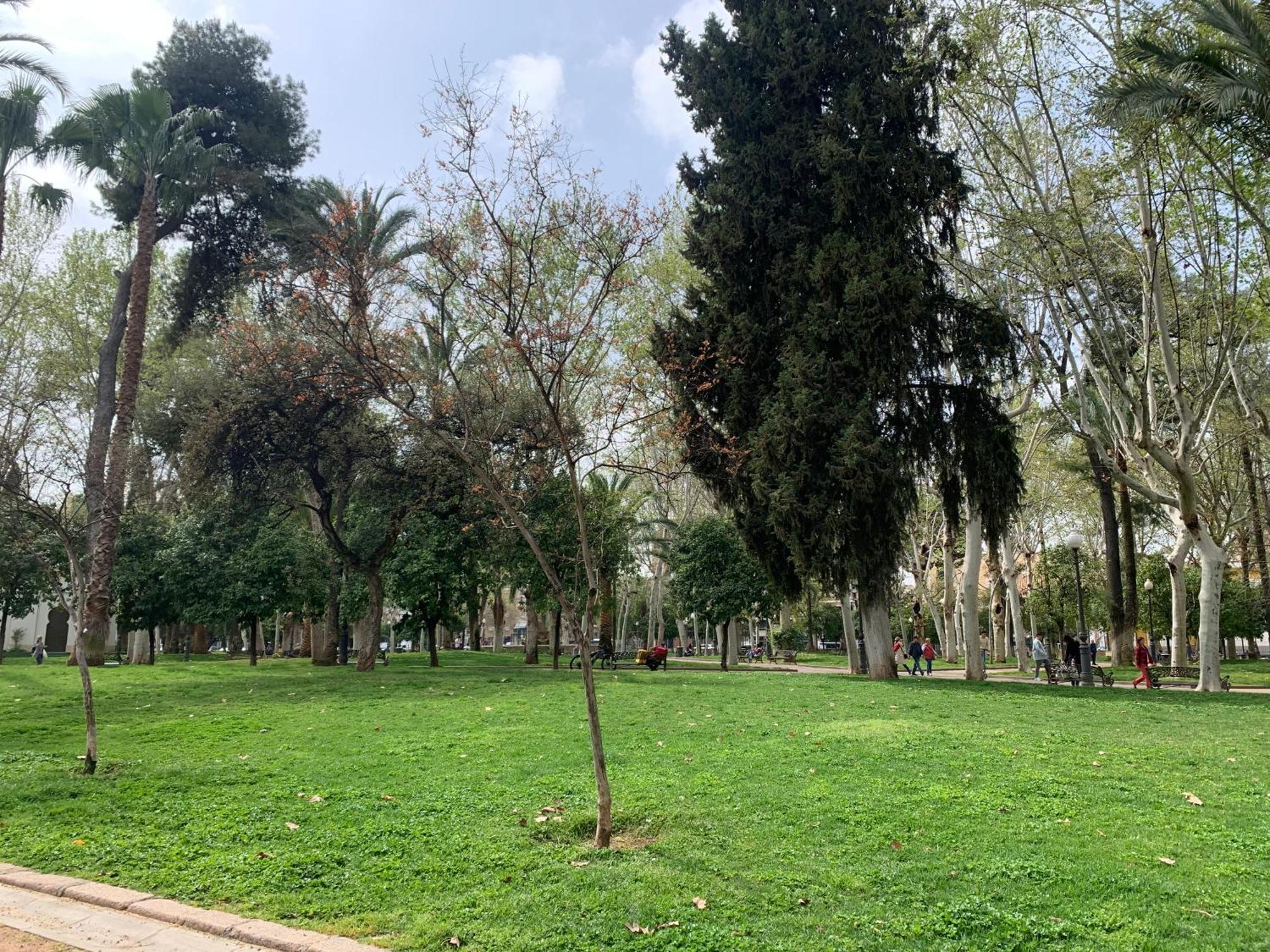 Bonito, Centrico, Fresco Y Tranquilo Apartamento En Santa Marina Córdoba Exterior foto